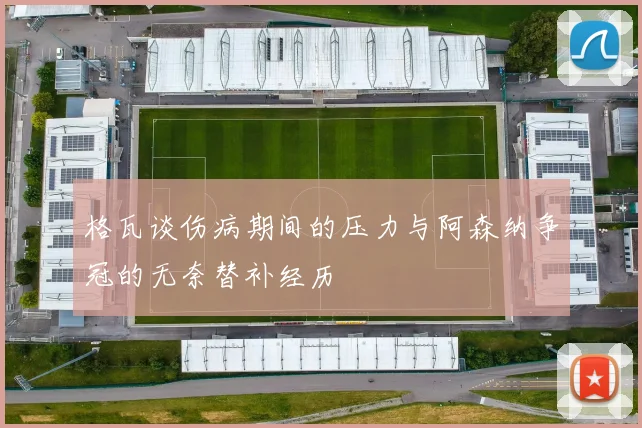 格瓦谈伤病期间的压力与阿森纳争冠的无奈替补经历